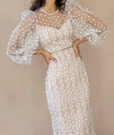 Long-Sleeved Embroidered Mesh Dress - Dahlias & Honey