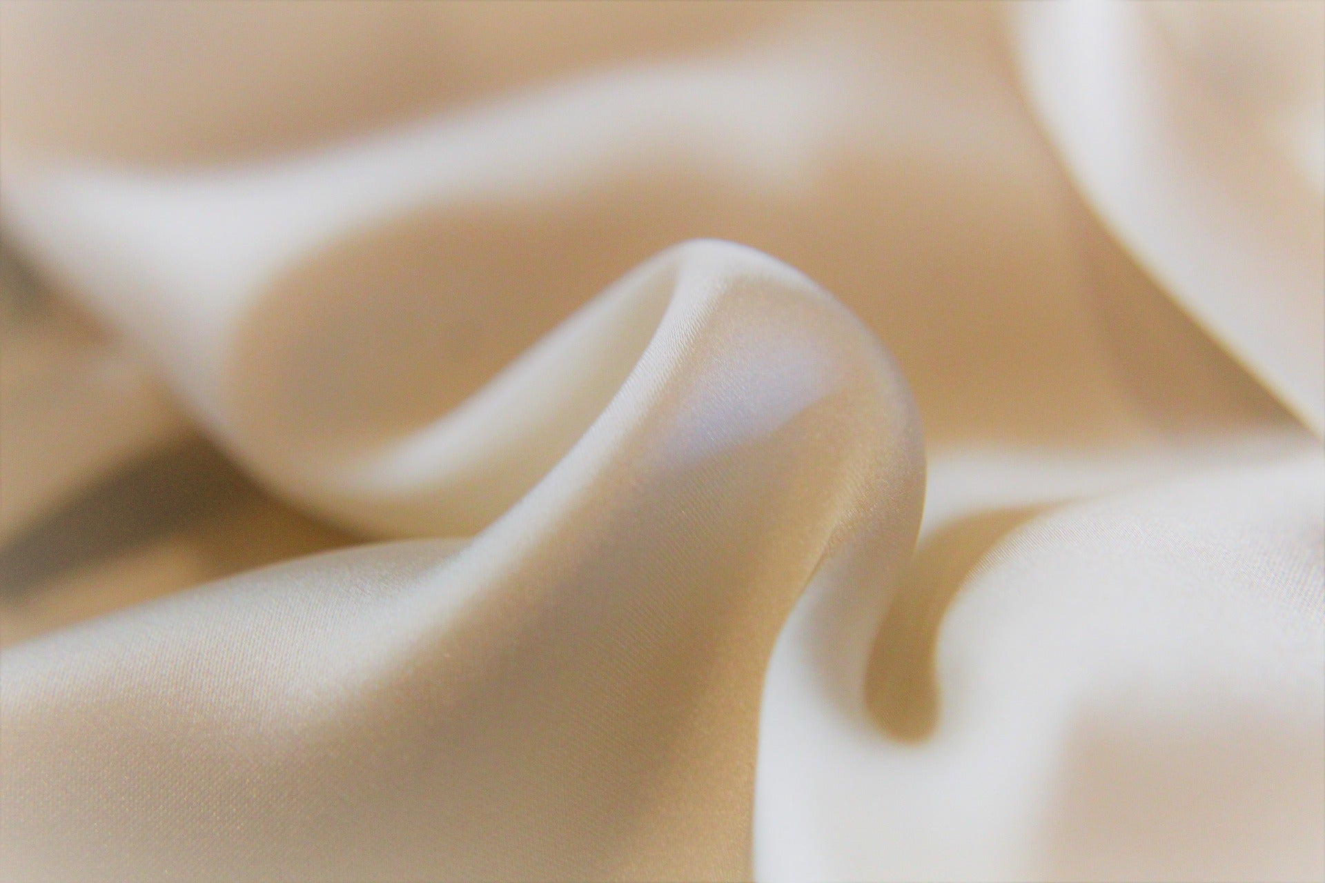 Cream Fabric